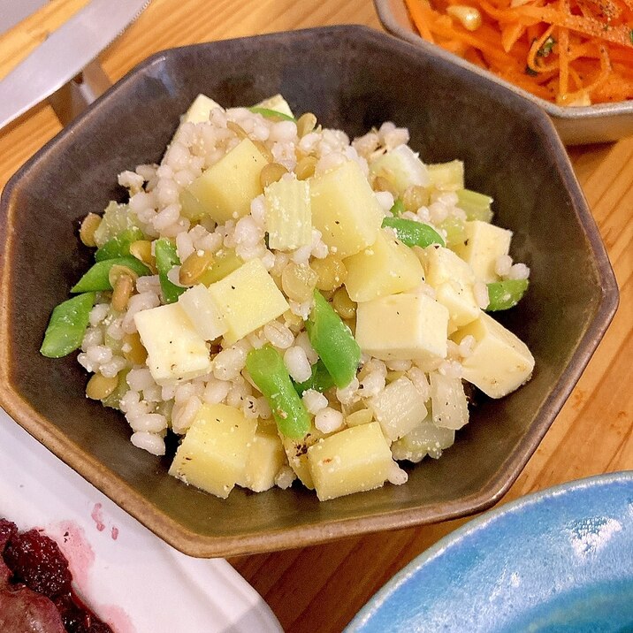 つぶつぶ食感☆丸麦とレンズマメのサラダ